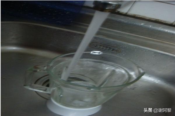 榨汁机都能榨什么？：榨汁机