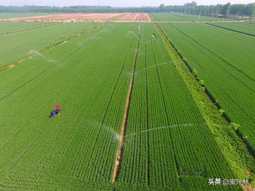 水肥一体化技术?水肥一体化技术流程!