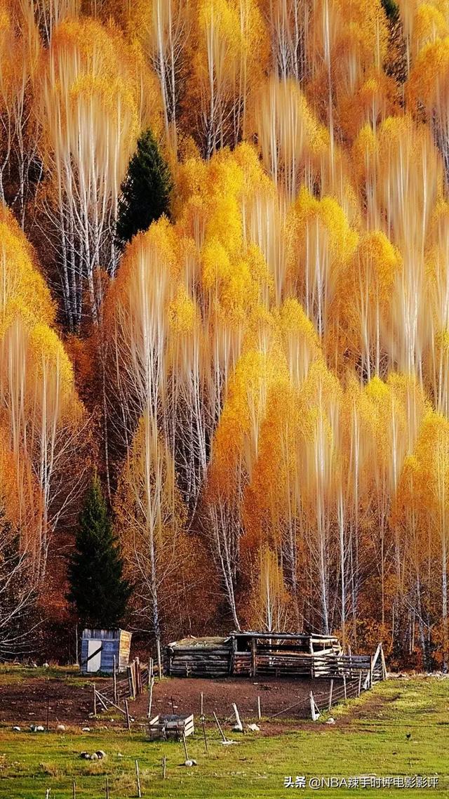 象棋为什么叫象棋？而不叫马棋、炮棋或车棋,第1张