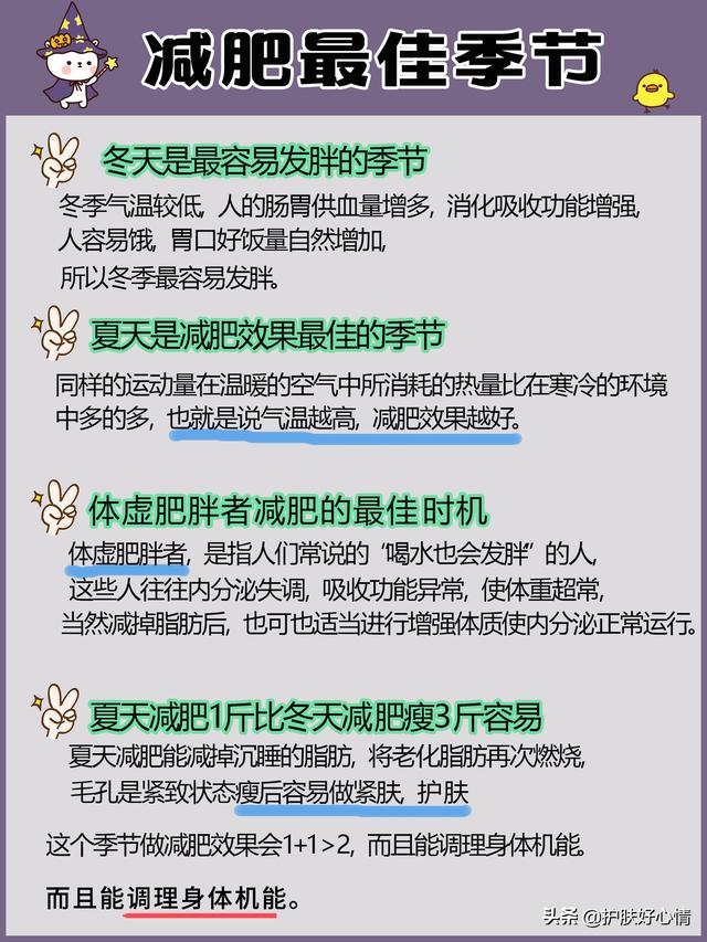 夏季怎么吃减肥更有效(图2)