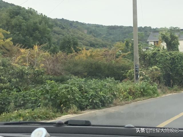 自驾游路线设计论文，自驾游路线设计论文范文