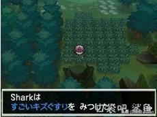 口袋妖怪黑2全神兽攻略 - 冲浪获取道具
