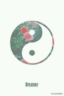 [手机小技巧]手机的功能和使用方法？