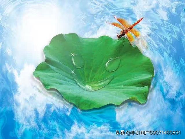 累了就放空自己（歌词感觉累了就放空自己）