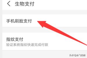 [支付宝刷脸]支付宝怎么设置刷脸解锁？