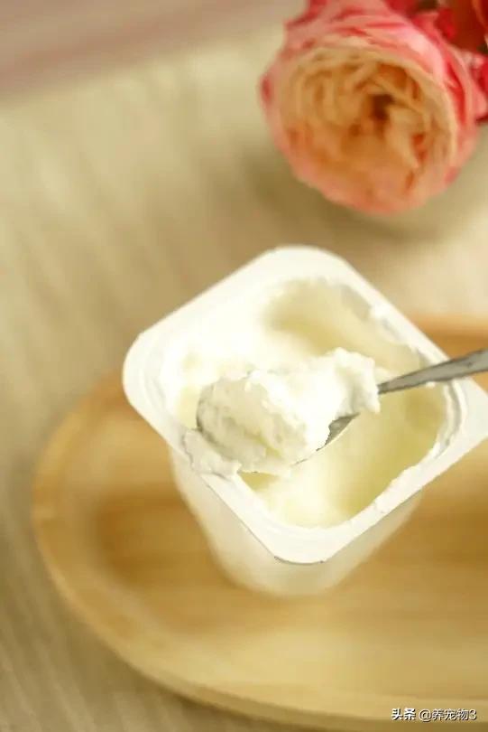 盒装酸奶怎么吃最好吃