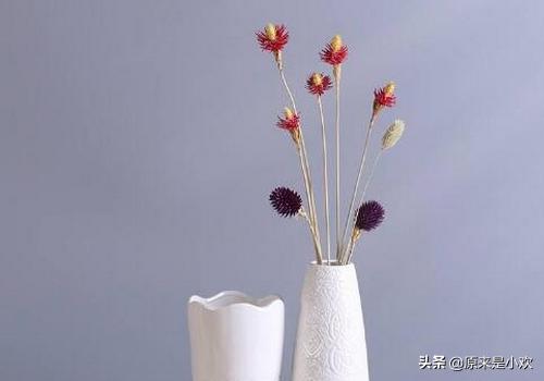 女人生日礼物送什么好（女人生日送什么东西）(图5)