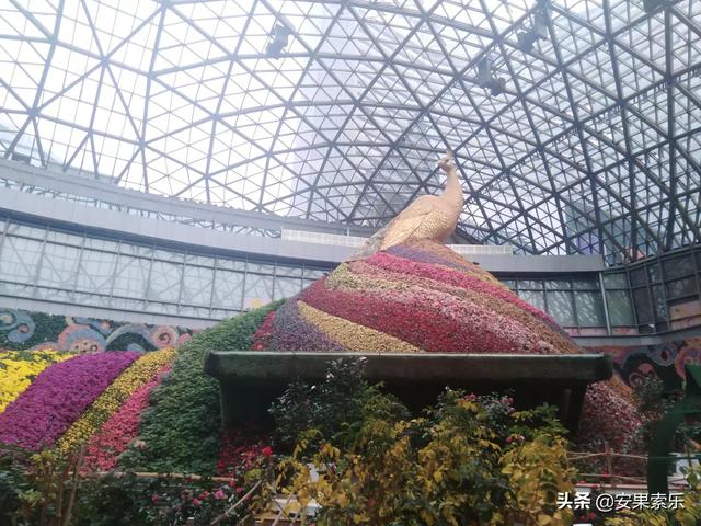 昆明花之城旅游路线攻略， 昆明花之城旅游路线攻略图