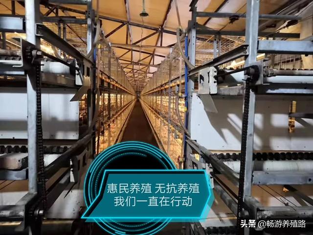 30种菜的做法大全视频(图11)