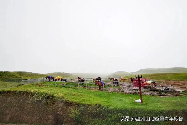 仁寿镇攻略旅游路线， 仁寿镇攻略旅游路线图
