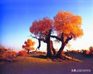 云南昆明市呈贡区摘橙子民宿电话号码,昆明周边橙子采摘