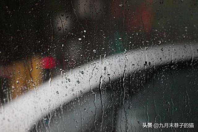 雨有什么功效(图12)