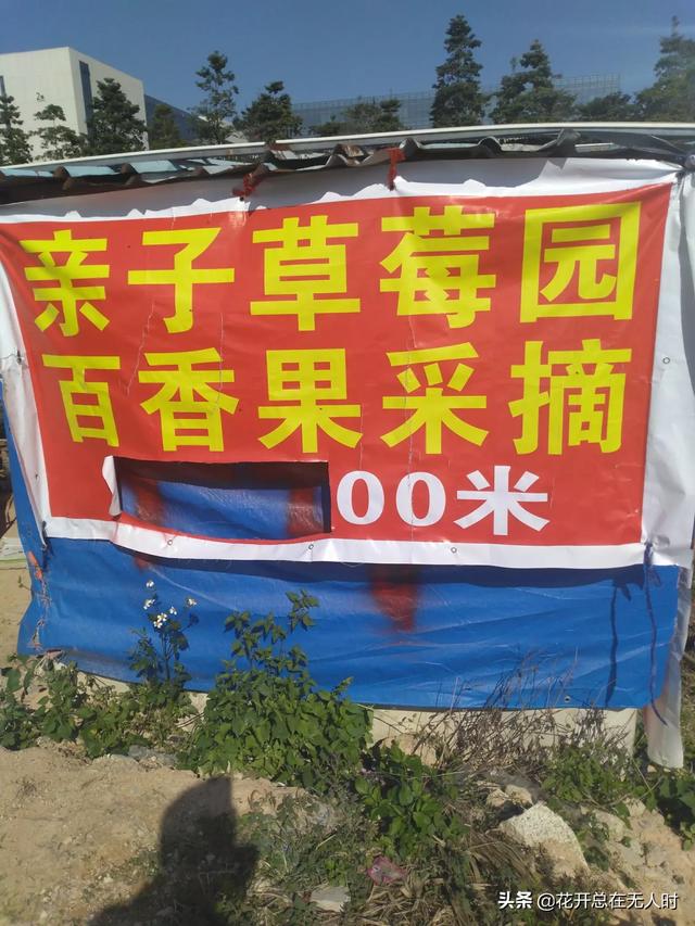 广东省范围内一日游去哪里最好玩，最省钱