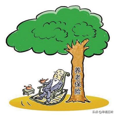 适合50岁以上的保险，适合50岁以上的保险有哪些