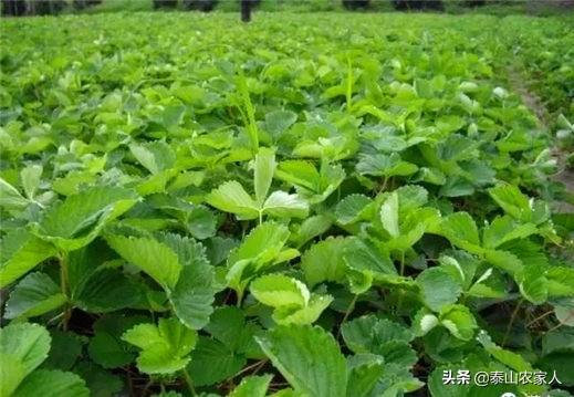 天视利-天视利月影宝盒