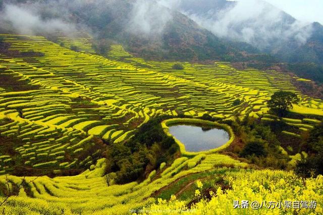 三月份最适合国外旅游,三月份最适合国外旅游的城市