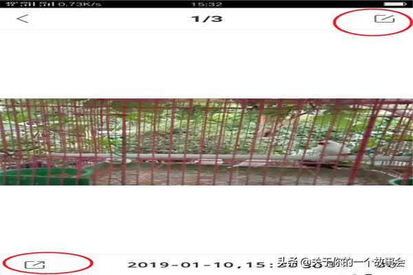 快手一菜一饭的做法视频(图8)