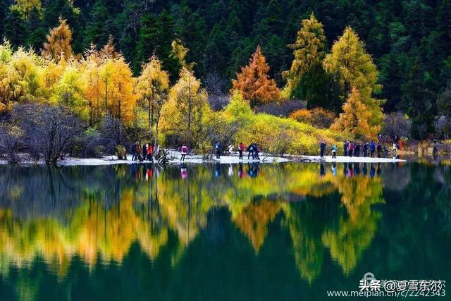 云南丽江市玉龙纳西族自治县3日2晚游评价好的农家乐联系方式,云南丽江玉龙纳西族自治县详细地址