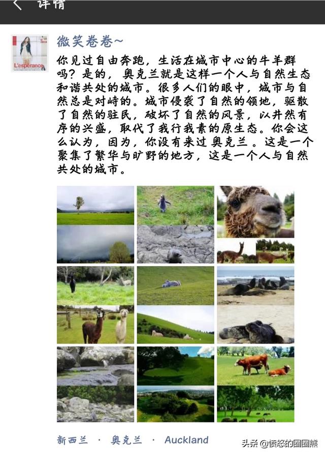 新西兰哪些景点必去的(图6)