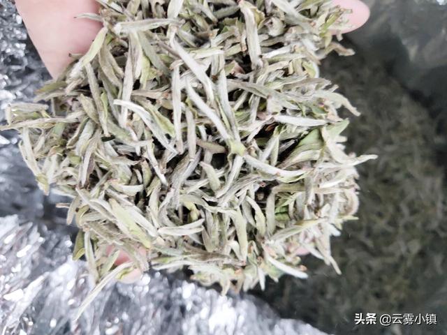 江苏叶苏宁==*宿迁 叶苏宁