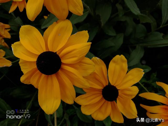 兰州市哪里有修照相机的