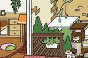 猫咪后院新手攻略 - 雪地猫喜欢的装饰