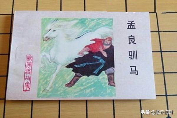 寵物馬視頻?寵物馬價格及圖片!