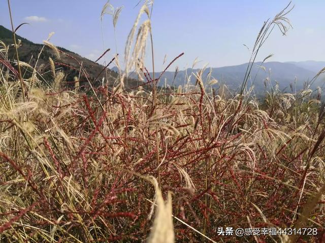 海外生活103，海外生活英文