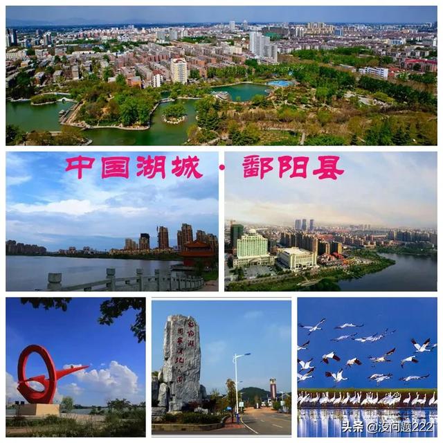 江西乐平生猪价格-江西乐平生猪价格表