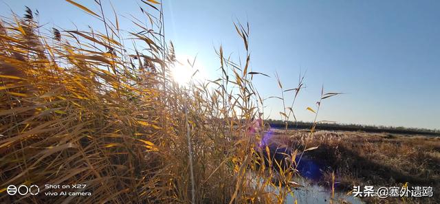 剪影效果剪影效果的照片怎么拍