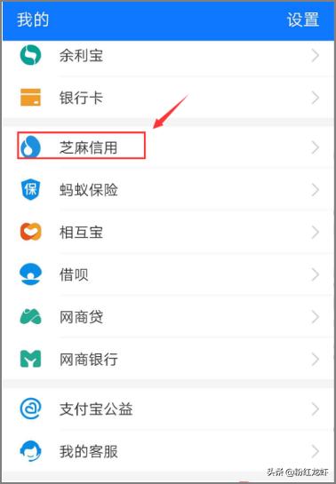 芝麻分怎么看