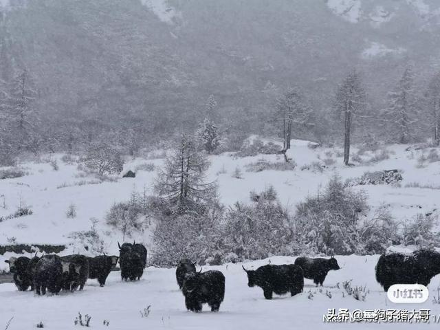 毕棚沟两天旅行攻略是什么