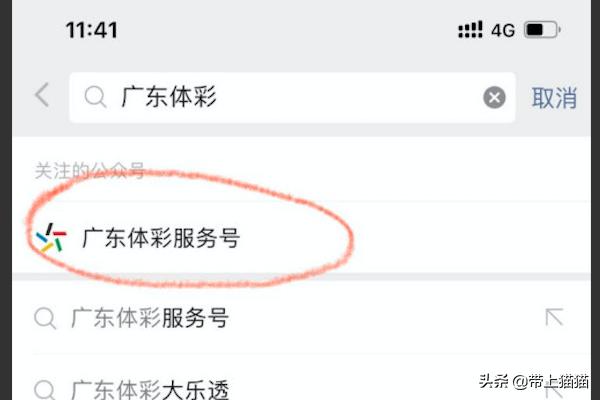 手机上怎么查我的意外保险，手机上怎么查我的意外保险保单