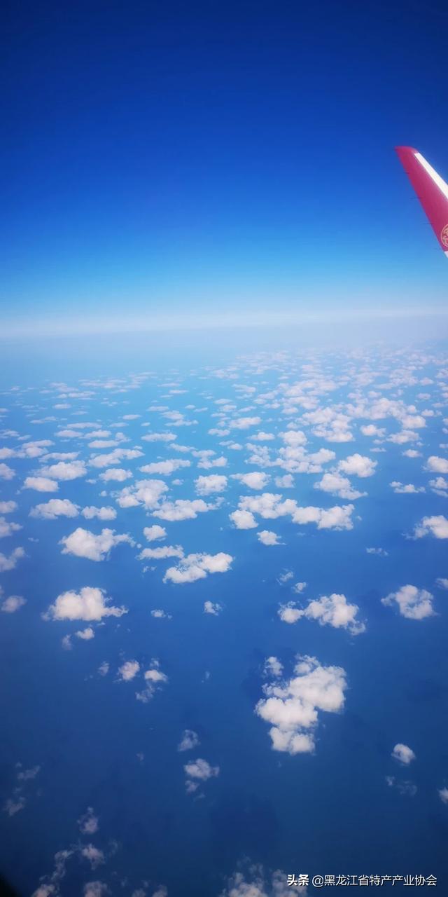 我想去东北三省旅游，不知道哪个城市比较好玩，消费低，当地人好客的