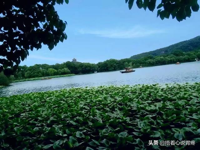 桐乡旅游小溪景点门票价格， 桐乡旅游小溪景点门票价格多少