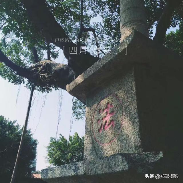 福建泉州哪个区比较繁华，以什么行业为主？