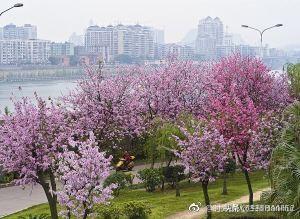 女性长期戴佛像的好处(图4)