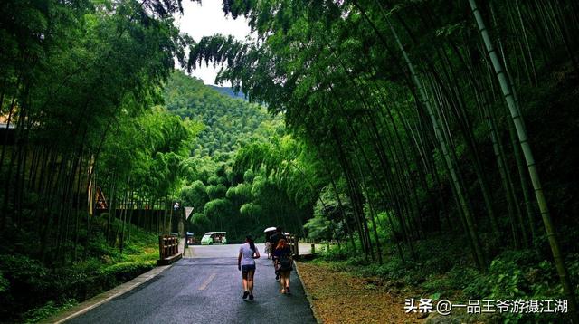 中老年旅游景点大全浙江， 中老年旅游景点大全浙江有哪些