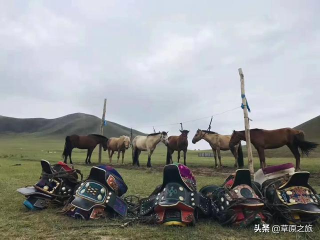 温岭小众旅游攻略路线， 温岭小众旅游攻略路线图