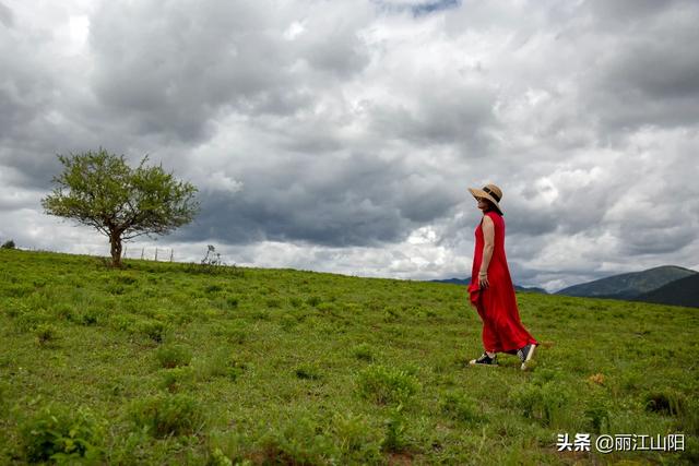 在昆明报团旅游多少钱,在昆明报团旅游多少钱一天