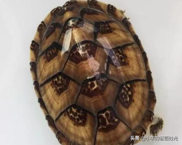 ca58433451c1475899e7534cbe839483