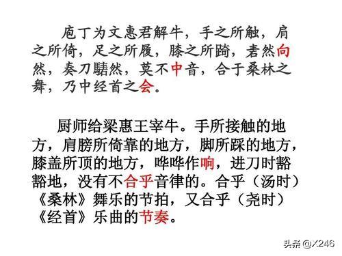ca826c70b9ce4e00918fa43ba18986fe