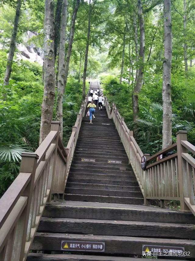 过年上海周边有哪些适合短途自驾游的地方？：上海短途旅游