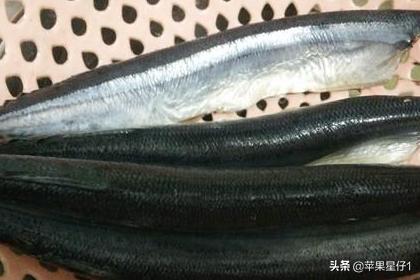 鱼罐头的做法-鱼罐头的做法视频