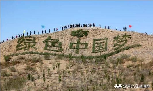 苗木花卉属于什么种类 浇水的-苗木花卉属于什么种类 浇水的植物