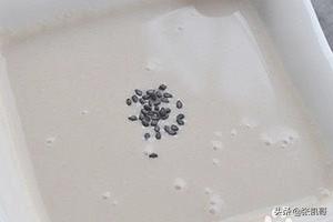 [豆浆机做米糊]豆浆机米糊的做法？