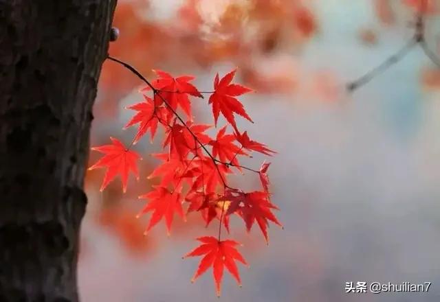 色彩搭配中如何调整色调(图1)