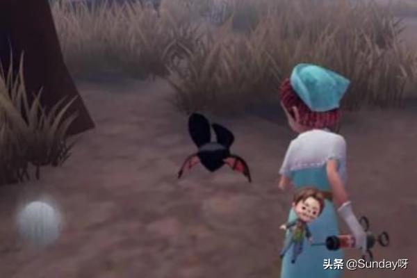 第五人格地窖怎么打开 第五人格地窖怎么打开逃脱-第12张图片-随然AIR主题