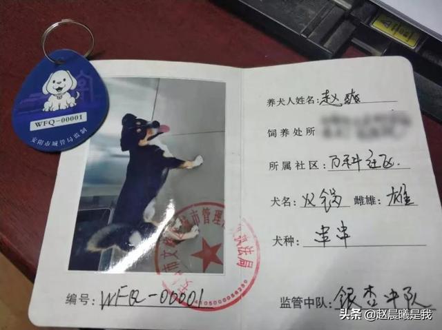 犬证是什么样的？