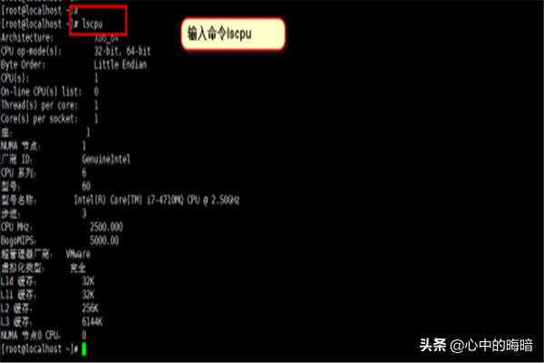 Linux支持的CPU有哪些？linux查看cpu个数命令？